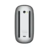 Apple Mouse